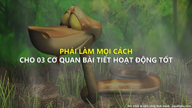 Phải làm mọi cách cho cả 3 cơ quan bài tiết của chúng ta hoạt động hiệu quả nhất