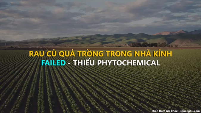 Nông sản, Rau củ quả trồng trong nhà kính thiếu thành phần quan trọng nào?