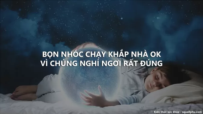 Học bọn nhóc, ngủ đủ giấc, nghỉ ngơi đúng, trẻ khỏe chắc chắn là thật.