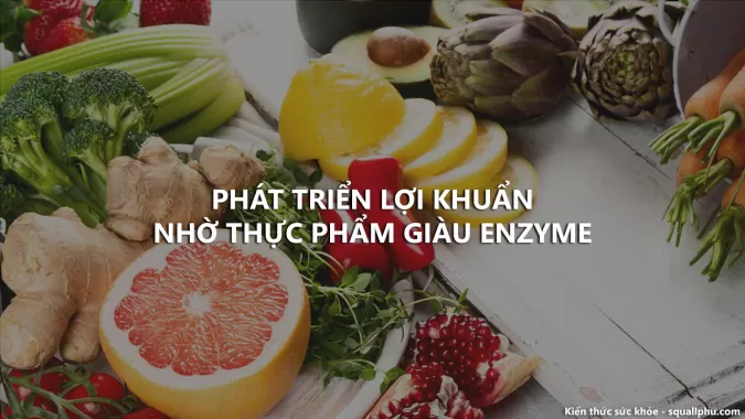 Hỗ trợ phát triển lợi khuẩn bằng thực phẩm nhiều Enzyme - Healthy 28