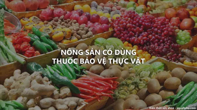 Nông sản sử dụng thuốc bảo vệ thực vật sẽ như nào? Healthy 29