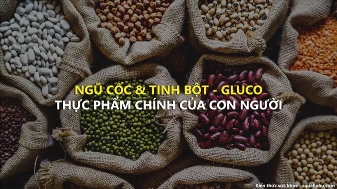 Ngũ cốc là thực phẩm chính nuôi dưỡng loài người - Healthy 40