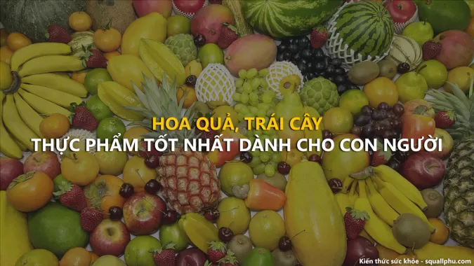 Hoa quả, trái cây, thực phẩm tốt nhất của thiên nhiên dành cho con người