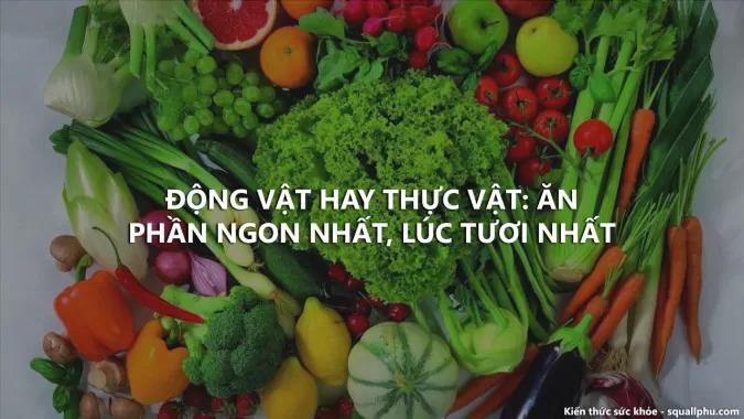 Ăn thực phẩm lúc ngon nhất, nhìn tươi nhất