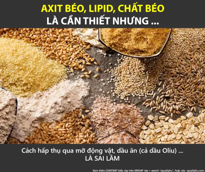 Phải hấp thụ Axit béo, lipit đúng. Nhưng bằng cách nào tốt nhất & hiệu quả nhất?