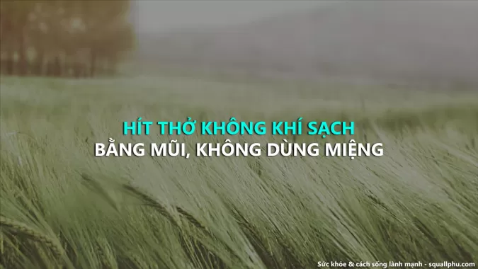 Hít thở đúng, và thế nào mới là đúng?