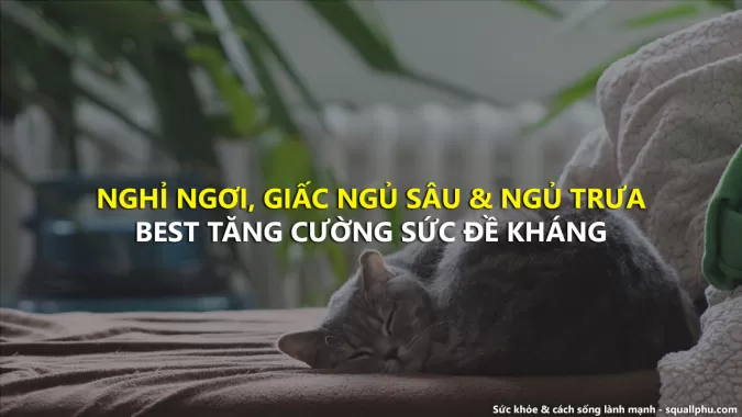 Nghỉ ngơi và ngủ trưa là phương pháp tăng sức đề kháng tốt nhất, hơn hẳn ăn uống rau củ quả